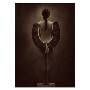 "Feathers" Por Holly Wilmeth