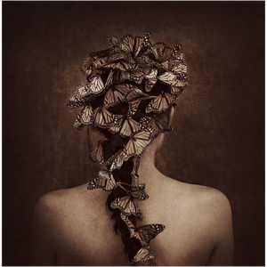 "Rebirth" Por Holly Wilmeth - Final Payment