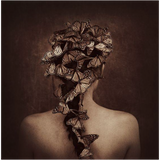 "Rebirth" Por Holly Wilmeth - Final Payment